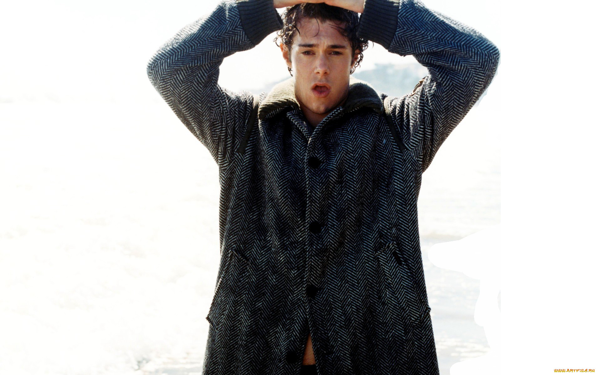 , adam brody, , , 